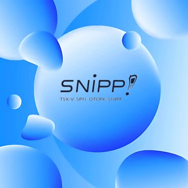 Snipp success story background