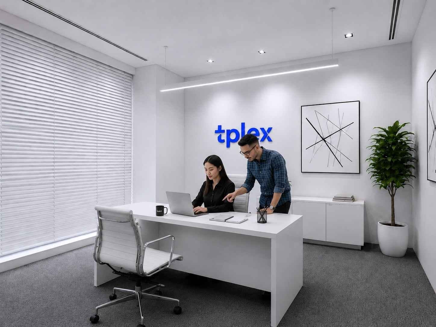 TPLEX team members collaborating in the office
