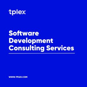 Software Development Consulting